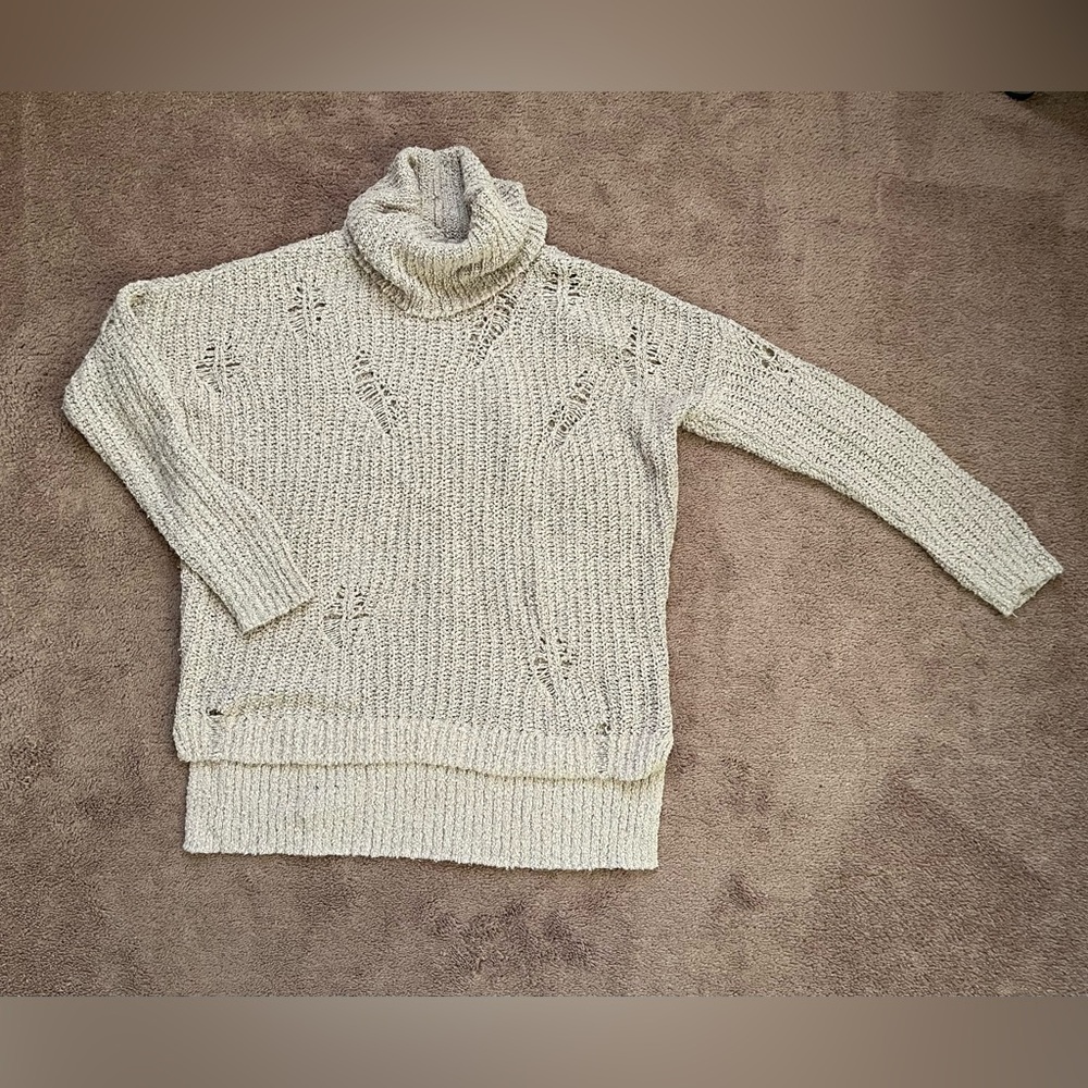 Express Distressed Sweater